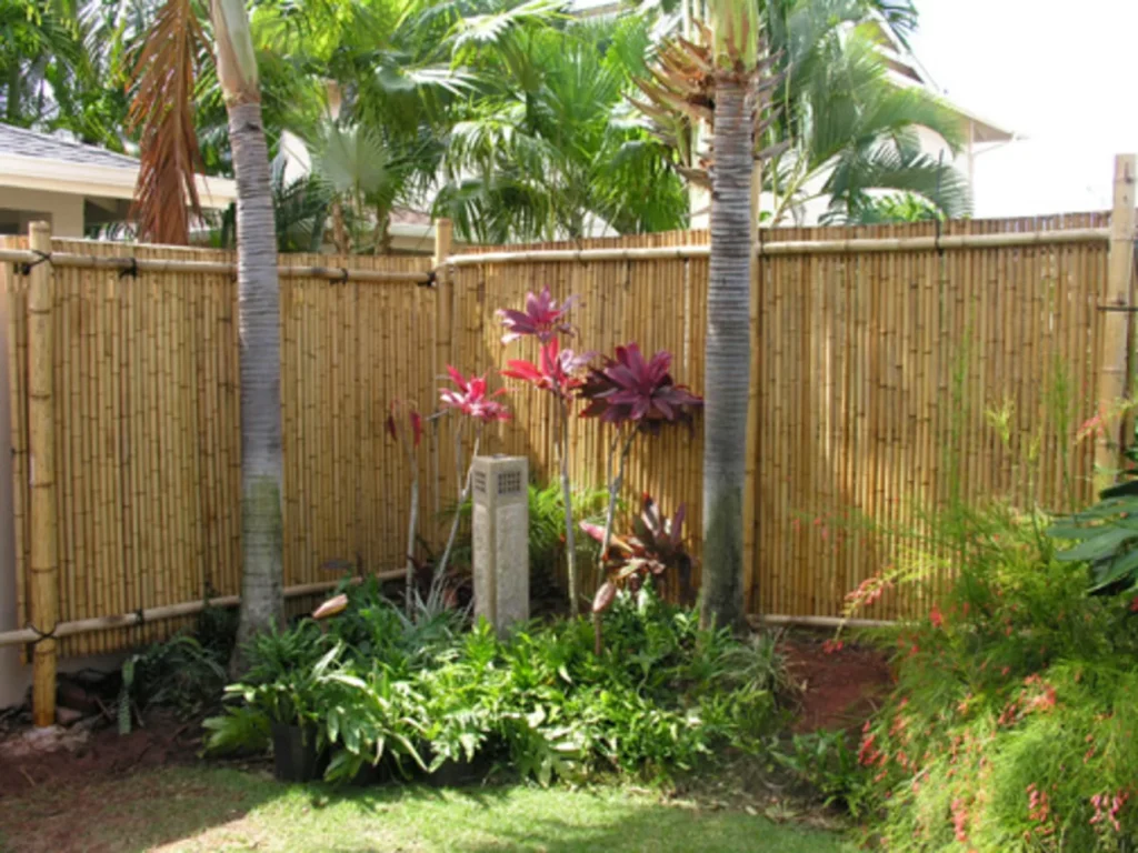 Bamboo Fences (The Different Kinds of Fences)