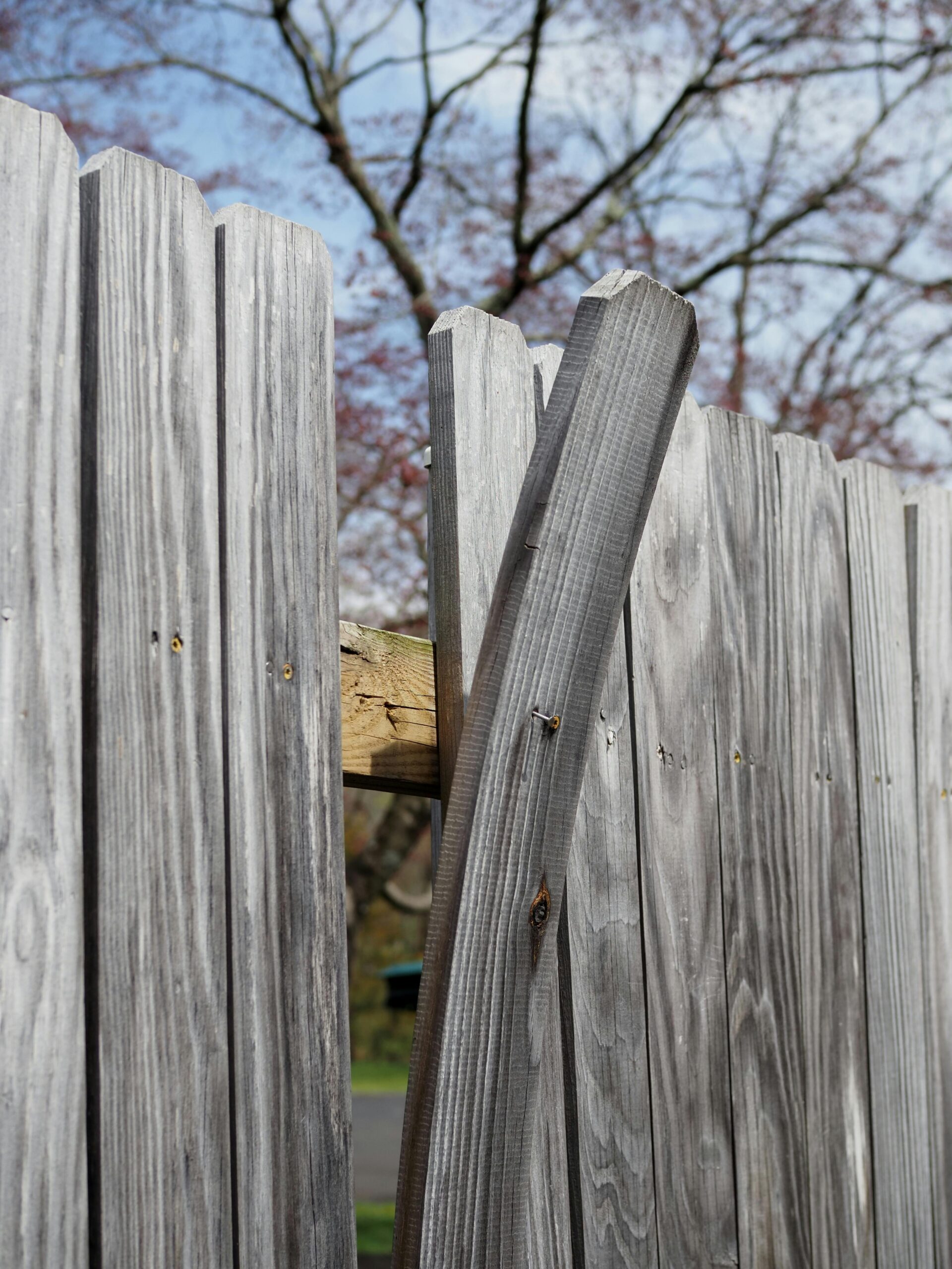 Damaged wood fence panels showing wear from Florida weather